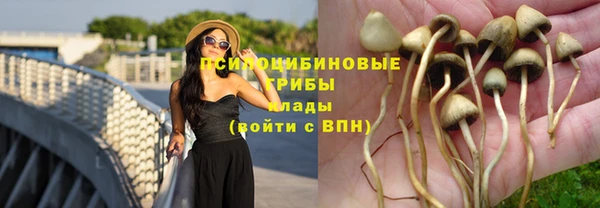 кокаин премиум Костерёво