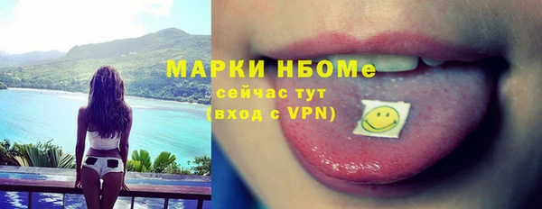 прущие грибы Корсаков