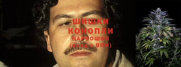 хмурый Кодинск