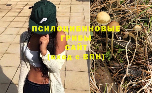 мяу мяу мука Козловка