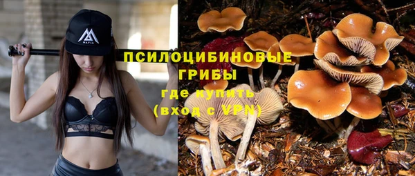 прущие грибы Корсаков