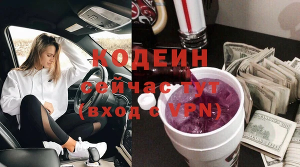 хмурый Кодинск