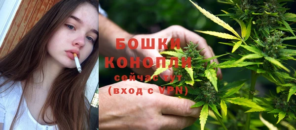 прущие грибы Корсаков